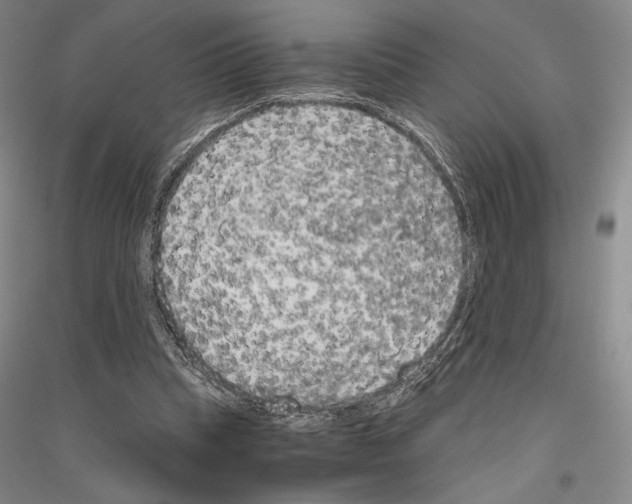 X0000116780345201001281126