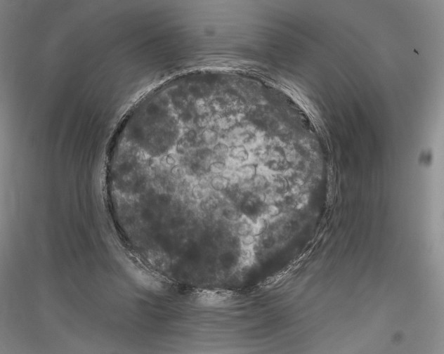 X0000116780346201001281126