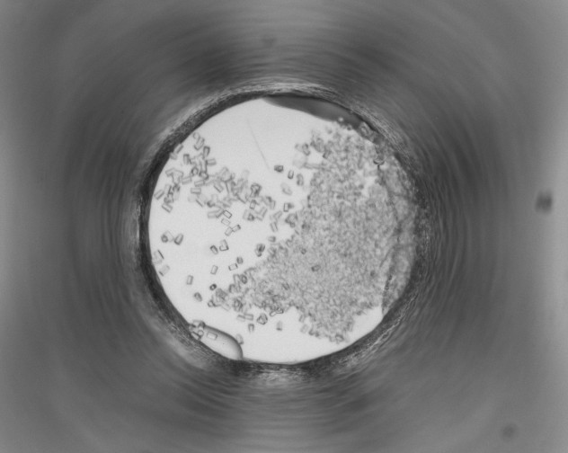 X0000116780350201001281126