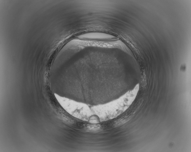 X0000116780355201001281126