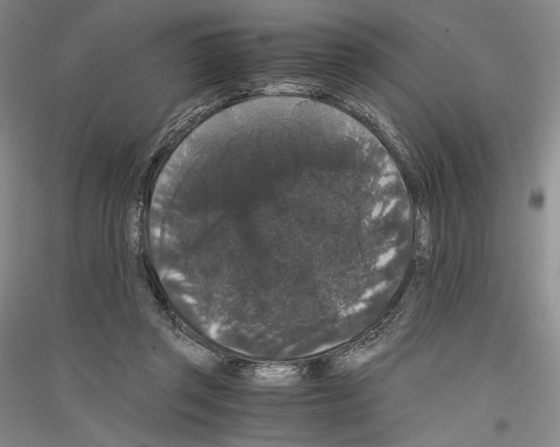 X0000116780357201001281126