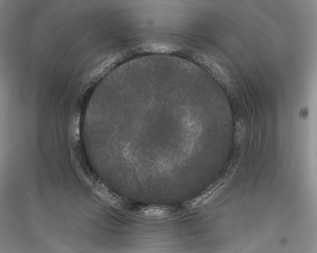 X0000116780358201001281126