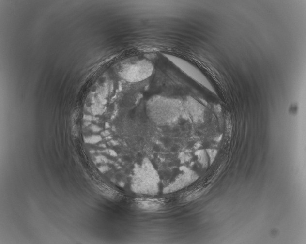 X0000116780359201001281126