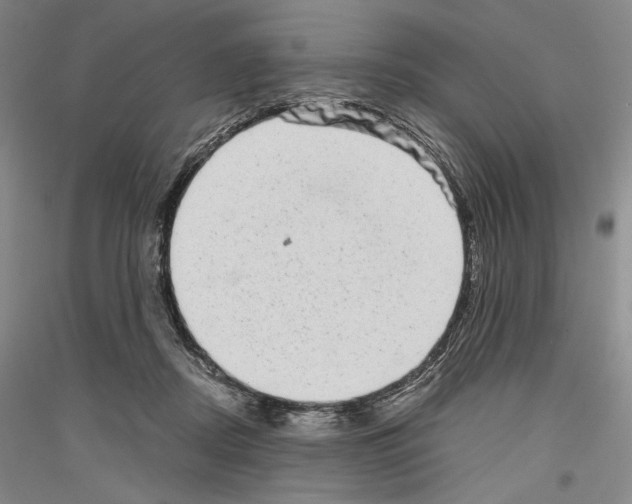 X0000116780362201001281126