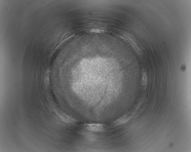 X0000116780363201001281126