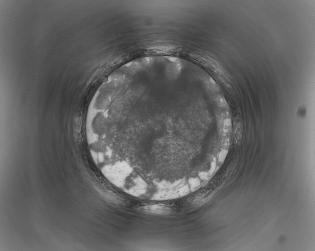 X0000116780365201001281126