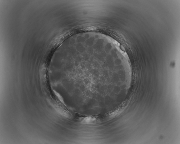 X0000116780366201001281126