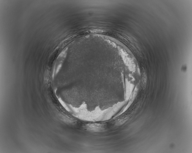 X0000116780367201001281126