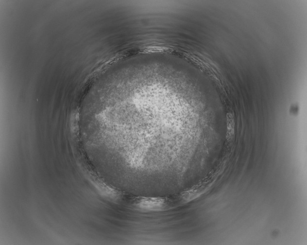 X0000116780369201001281126