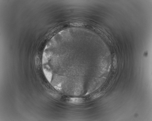 X0000116780371201001281126