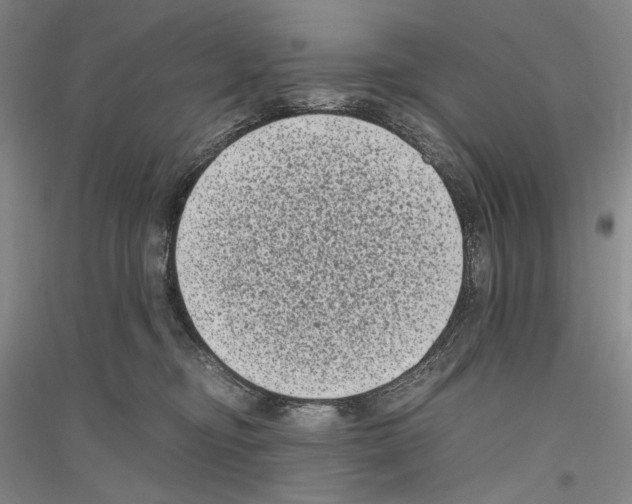 X0000116780374201001281126