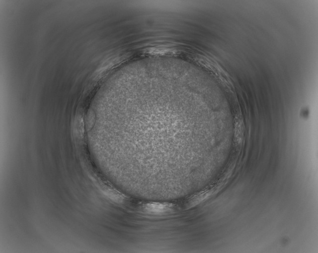 X0000116780375201001281126