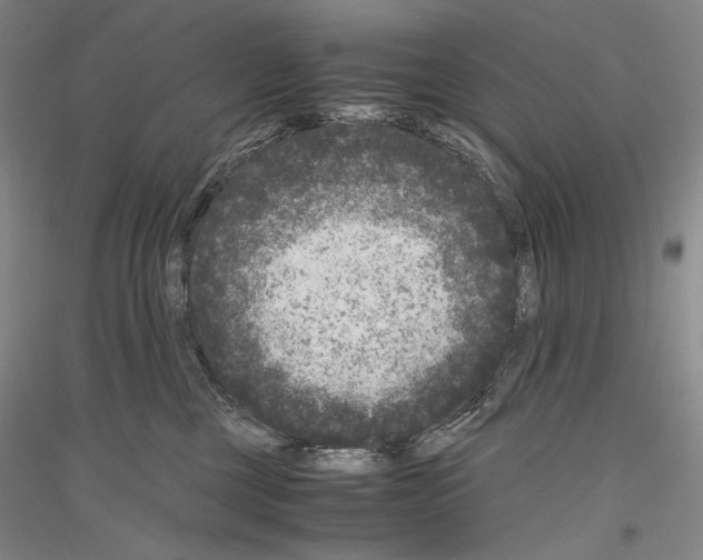 X0000116780377201001281126