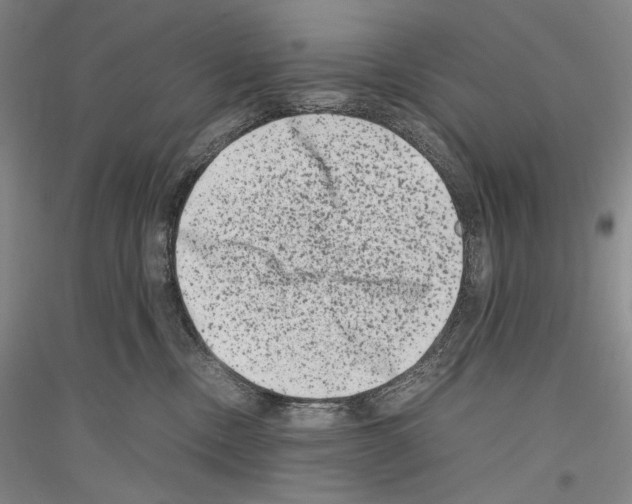 X0000116780378201001281126