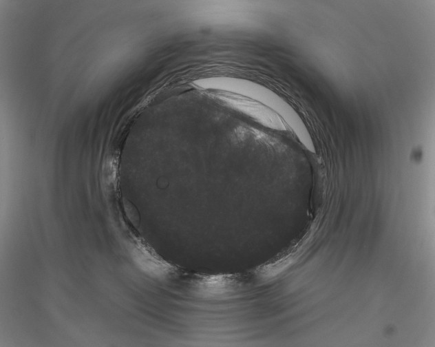 X0000116780382201001281127