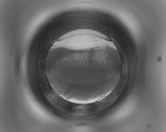 X0000116780383201001281127