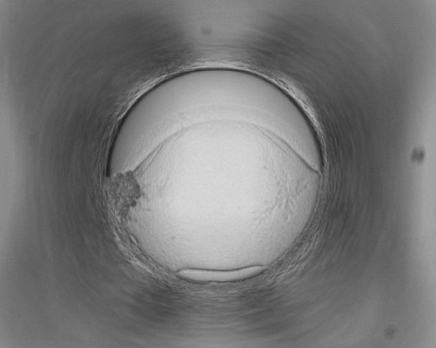 X0000116780385201001281126