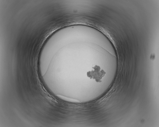 X0000116780386201001281126