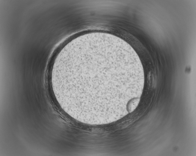 X0000116780388201001281126