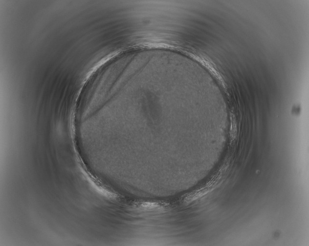 X0000116780390201001281126