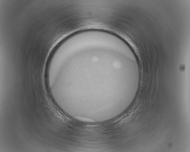 X0000116780391201001281126