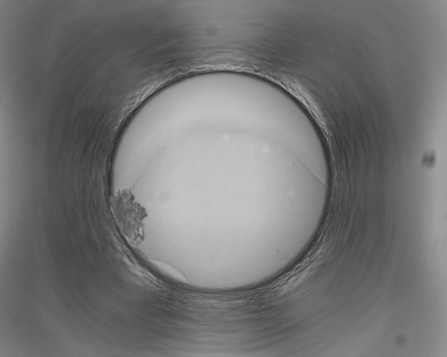 X0000116780393201001281126