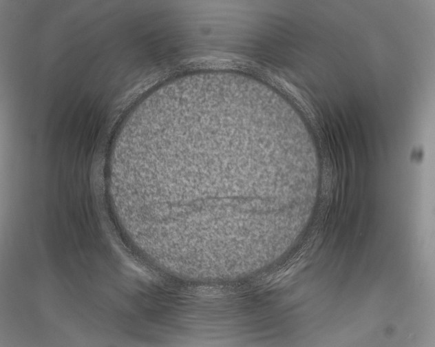 X0000116780394201001281126