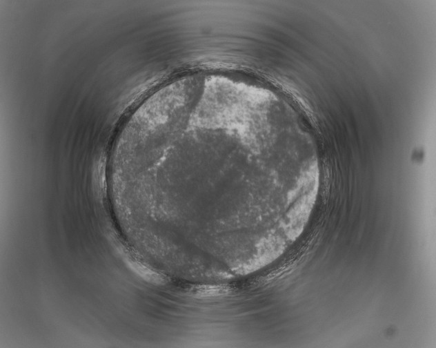 X0000116780398201001281126