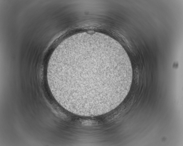 X0000116780400201001281126