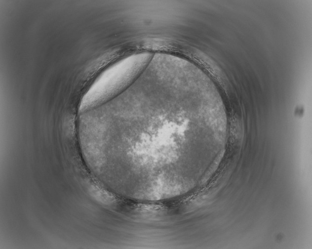 X0000116780401201001281126