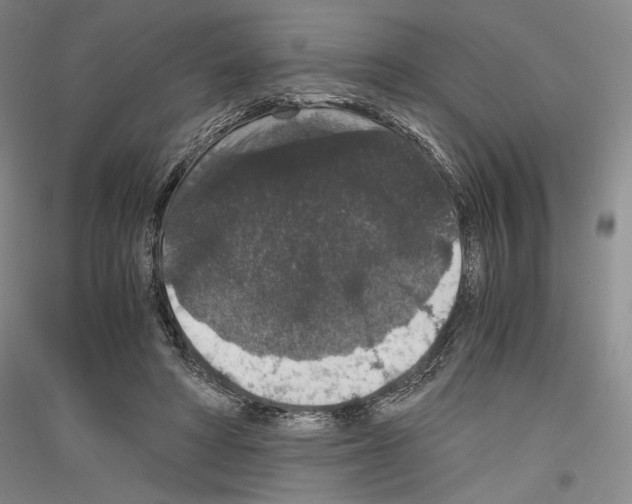 X0000116780402201001281126