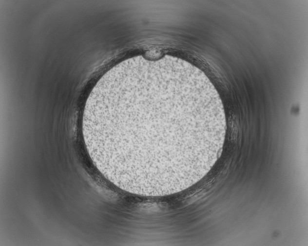 X0000116780404201001281126