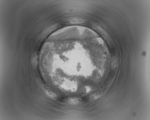 X0000116780405201001281126