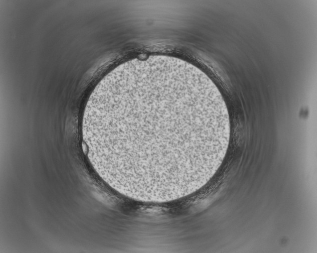 X0000116780407201001281126