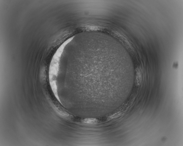 X0000116780410201001281126