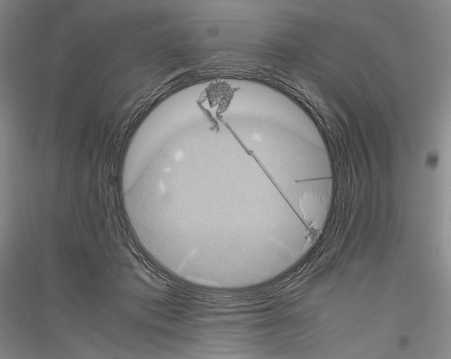 X0000116780413201001281126