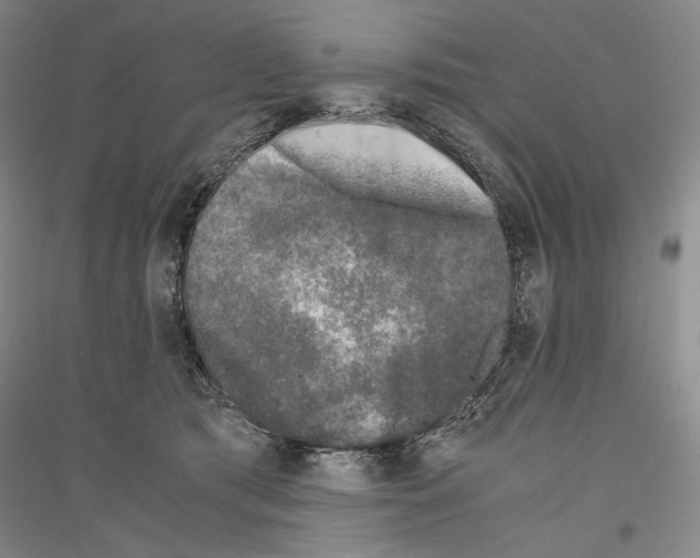 X0000116780417201001281125