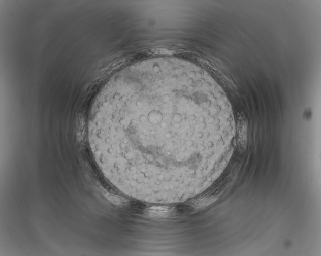 X0000116780418201001281125