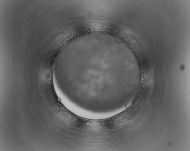 X0000116780419201001281125