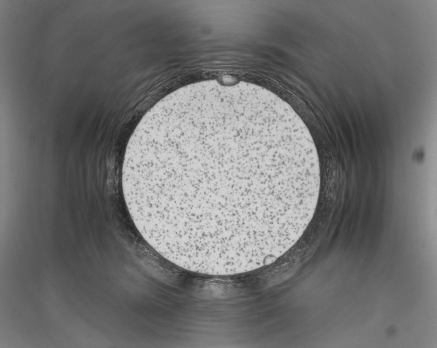 X0000116780420201001281125