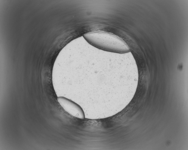 X0000116780421201001281125