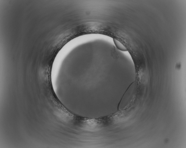 X0000116780423201001281125