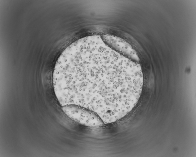 X0000116780425201001281125