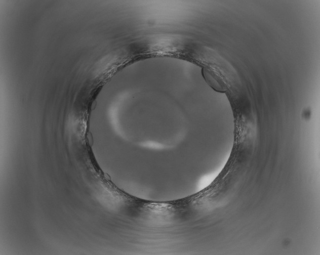 X0000116780427201001281125