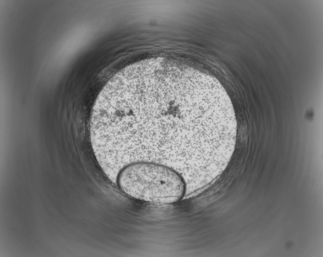 X0000116780429201001281125