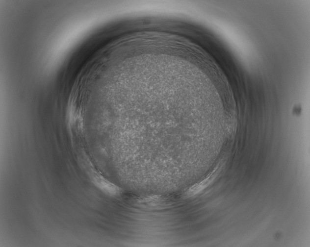 X0000116780431201001281125