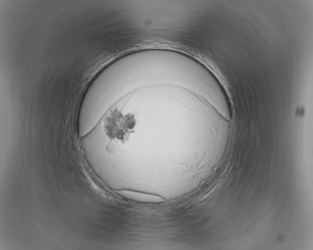 X0000116780433201001281125