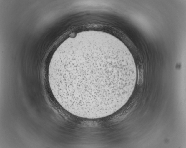 X0000116780435201001281125