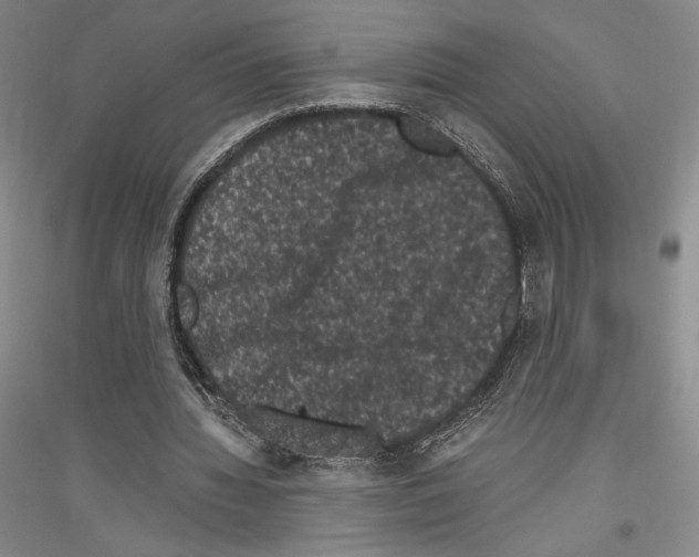 X0000116780436201001281125