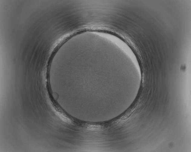 X0000116780438201001281125